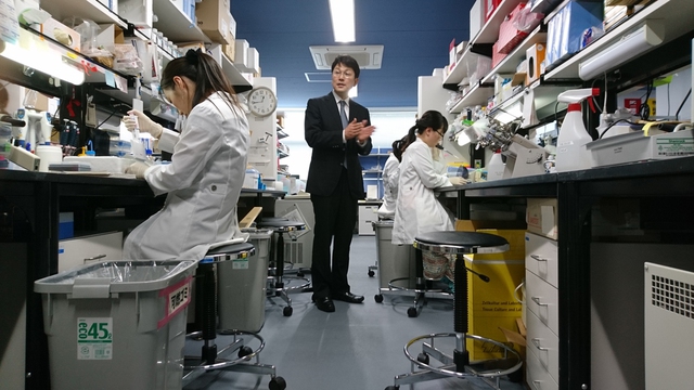Japan starts final-stage trial for iPS drug for Alzheimer's - Ảnh 1. Japan starts final-stage trial for iPS drug for Alzheimer's - Ảnh 1.