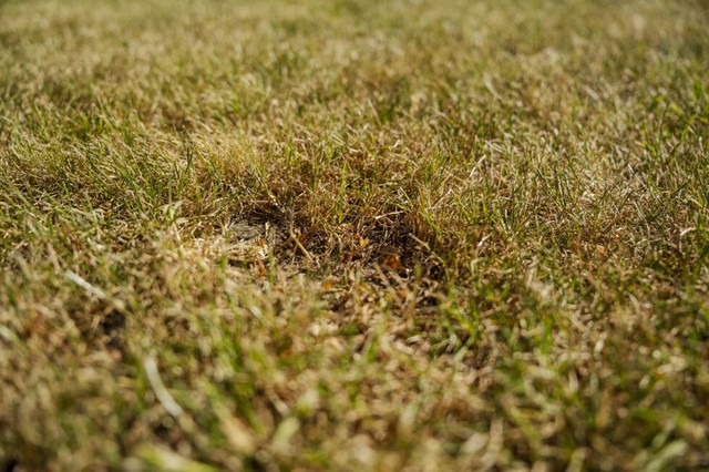 Over half of Europe and Mediterranean basin hit by drought in mid-May - Ảnh 1. Over half of Europe and Mediterranean basin hit by drought in mid-May - Ảnh 1.