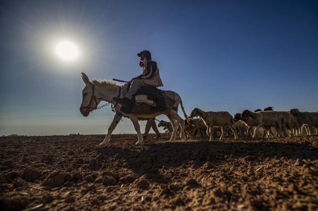 Over half of Europe and Mediterranean basin hit by drought in mid-May - Ảnh 2. Over half of Europe and Mediterranean basin hit by drought in mid-May - Ảnh 2.