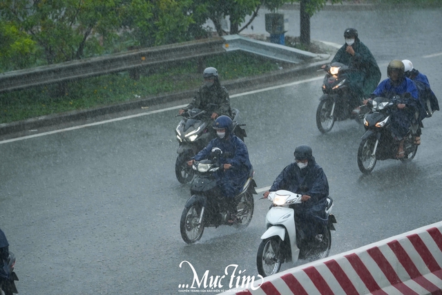 TP.HCM mưa lớn chiều 4-6, cảnh báo ngập úng cục bộ- Ảnh 3.