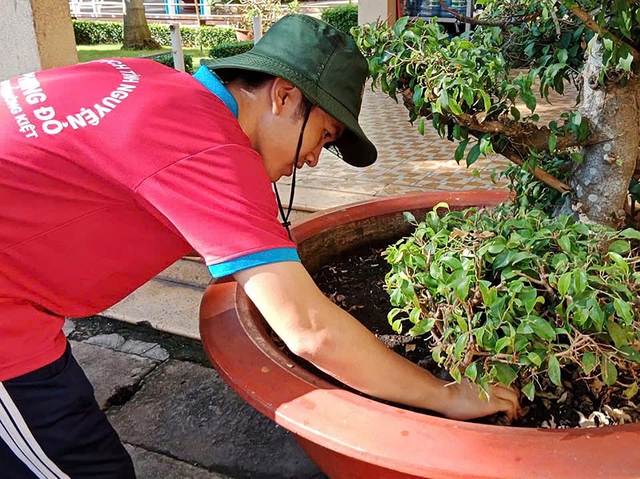 Chiến sĩ Hoa phượng đỏ lan tỏa phong trào bình dân học vụ số- Ảnh 2.