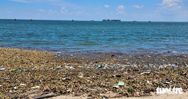 Chủ đề của Ngày Môi trường thế giới năm 2025 là gì? - Ảnh 1.