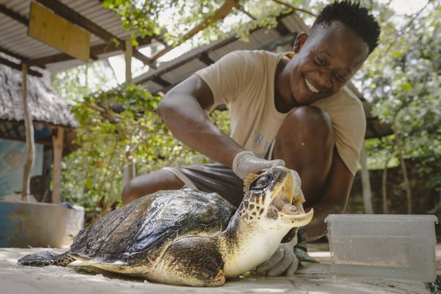 The Bright Side: Kenya NGO on a mission to save turtles from nets, plastics and rising tides - Ảnh 2.