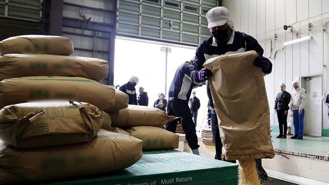 Premium Vietnamese rice expected to be potential solution to Japan’s deepening rice crisis- Ảnh 1. Premium Vietnamese rice expected to be potential solution to Japan’s deepening rice crisis- Ảnh 1.