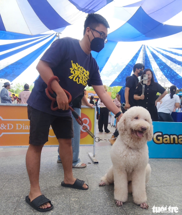 Over 300 dressed-up pets join competition in southern Vietnam - Ảnh 3.