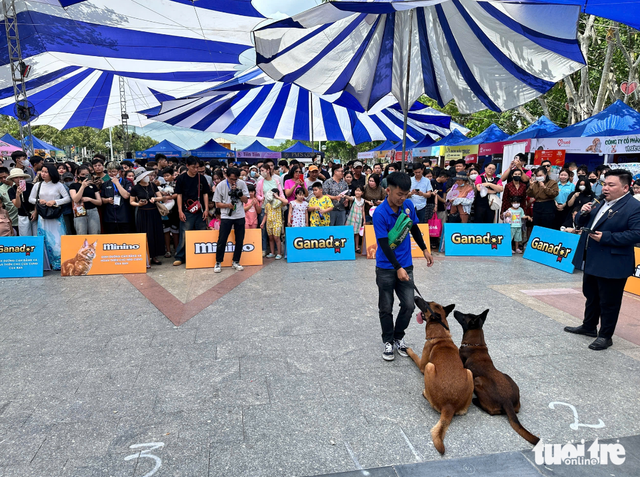 Over 300 dressed-up pets join competition in southern Vietnam - Ảnh 4.