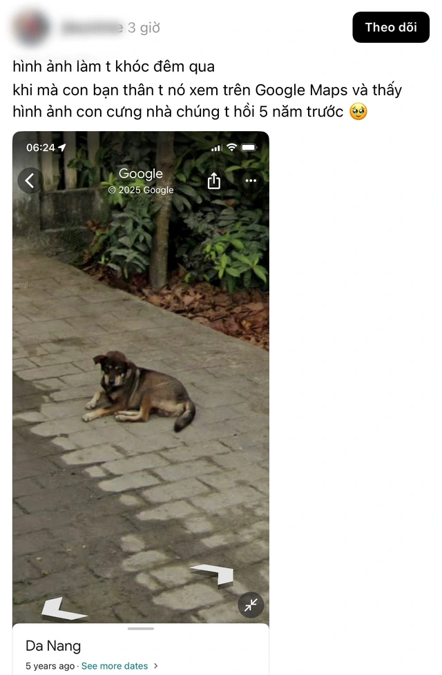 ‘Gặp lại’ người thân đã khuất qua Google Maps, cư dân mạng lặng người vì một khung hình cũ - Ảnh 4.