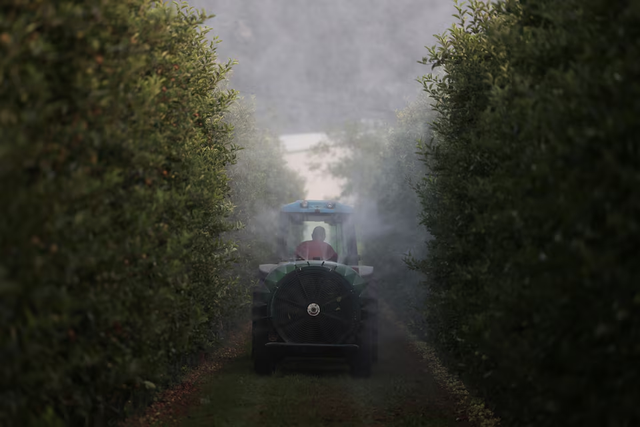 Europe's illegal pesticide trade surges as farmers cut costs- Ảnh 2. Europe's illegal pesticide trade surges as farmers cut costs- Ảnh 2.