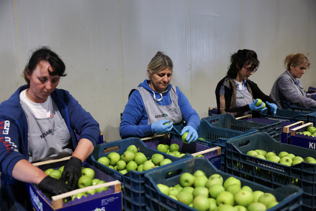 Europe's illegal pesticide trade surges as farmers cut costs- Ảnh 3. Europe's illegal pesticide trade surges as farmers cut costs- Ảnh 3.