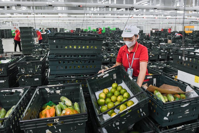 Infrastructure, data are key to modern retail: Masan Group CEO- Ảnh 2. Infrastructure, data are key to modern retail: Masan Group CEO- Ảnh 2.