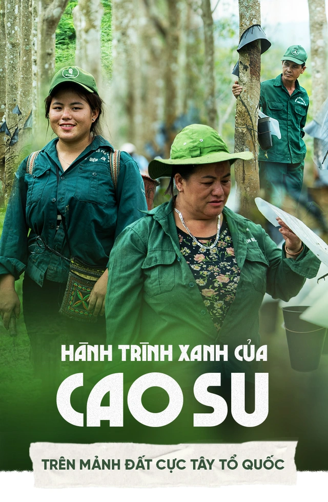 Hành trình xanh của cao su trên mảnh đất cực Tây Tổ quốc