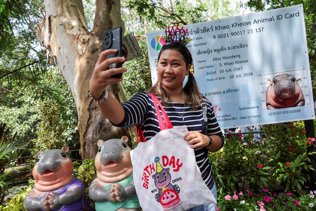 Thailand's hippo Moo Deng draws crowds at first birthday bash - Ảnh 3.