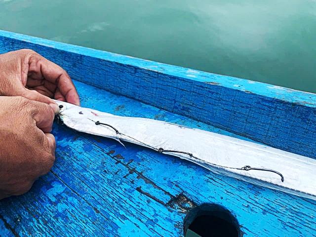 Between passion and livelihood, Vietnam’s sea anglers cast their lines- Ảnh 5. Between passion and livelihood, Vietnam’s sea anglers cast their lines- Ảnh 5.