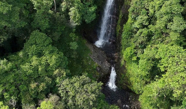 Vietnam discovers 2 waterfalls with tourism potential in central forest - Ảnh 5.