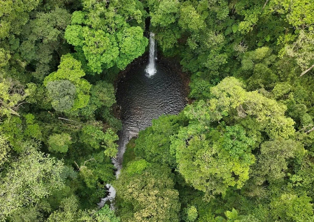Vietnam discovers 2 waterfalls with tourism potential in central forest - Ảnh 4.