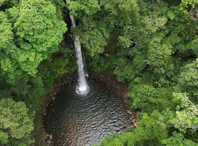 Vietnam discovers 2 waterfalls with tourism potential in central forest - Ảnh 1.