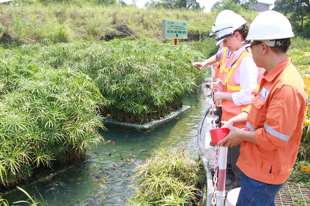 Masan Group: Driving innovation for sustainable development - Ảnh 7.