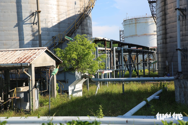 Dung Quat biofuel plant set to resume operations after over decade of hiatus - Ảnh 2.