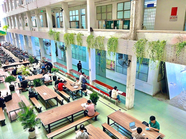 Bức rèm xanh tại Trường đại học Khoa học Tự nhiên TP.HCM - Ảnh 1.