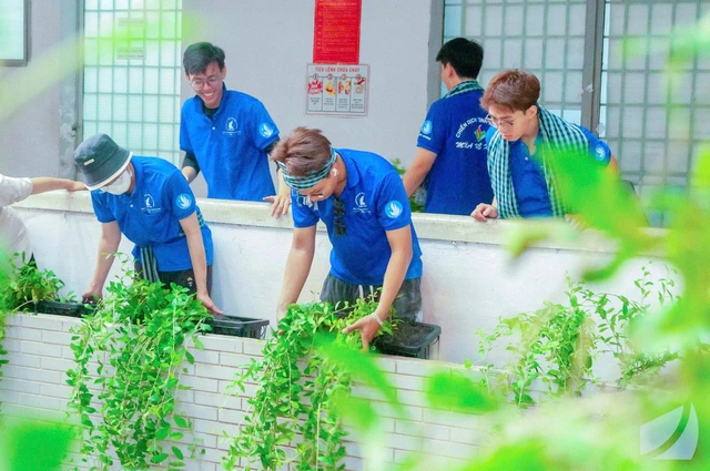 Bức rèm xanh tại Trường đại học Khoa học Tự nhiên TP.HCM - Ảnh 2.