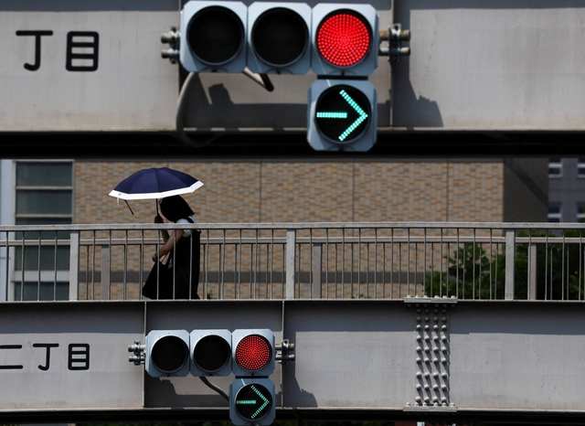 Japan insurer to launch policy linked to bear culling - Ảnh 1.