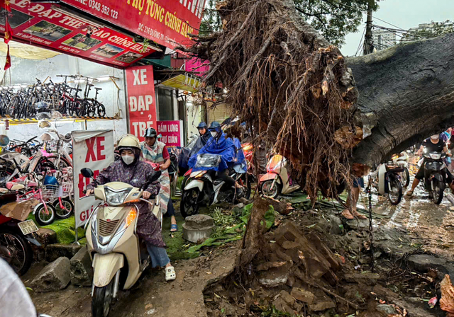 Pickup truck driver shelters woman, 5 children from powerful winds in Hanoi
- Ảnh 1. Pickup truck driver shelters woman, 5 children from powerful winds in Hanoi
- Ảnh 1.