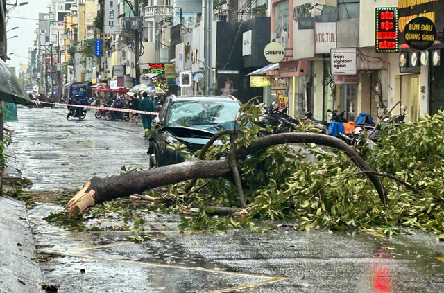 Strong winds, thunderstorm topple trees across Ho Chi Minh City - Ảnh 1.