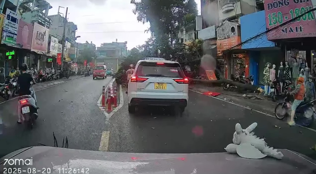 Strong winds, thunderstorm topple trees across Ho Chi Minh City - Ảnh 3.