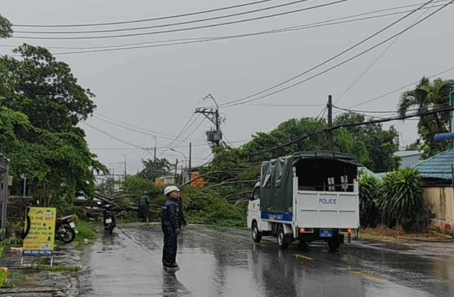 Strong winds, thunderstorm topple trees across Ho Chi Minh City - Ảnh 4.