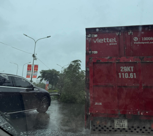 Strong winds, thunderstorm topple trees across Ho Chi Minh City - Ảnh 5.