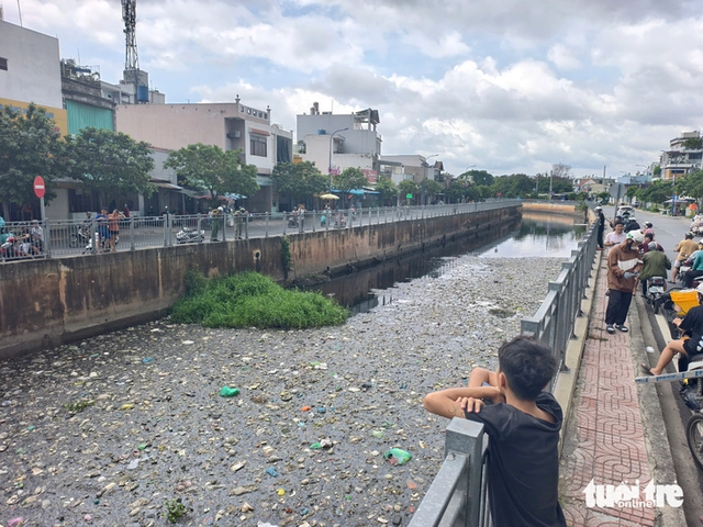 Small crocodile captured from Ho Chi Minh City canal- Ảnh 1.