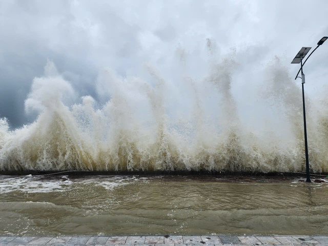 Storm Wipha makes landfall in Vietnam’s Ninh Binh-Thanh Hoa- Ảnh 3. Storm Wipha makes landfall in Vietnam’s Ninh Binh-Thanh Hoa- Ảnh 3.