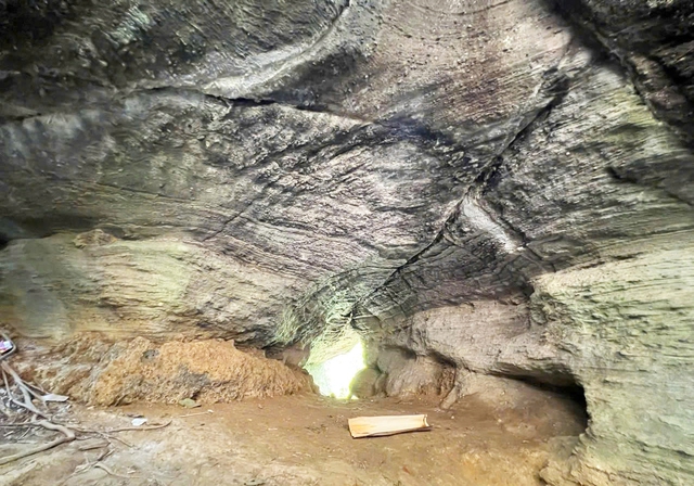 Da Nang’s 530-million-year-old cave complex receives heritage status- Ảnh 7. Da Nang’s 530-million-year-old cave complex receives heritage status- Ảnh 7.