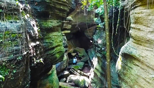 Da Nang’s 530-million-year-old cave complex receives heritage status- Ảnh 1. Da Nang’s 530-million-year-old cave complex receives heritage status- Ảnh 1.