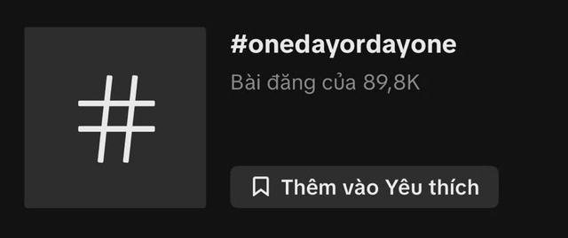 Cùng nhìn lại quá khứ với trào lưu One day or day one- Ảnh 1.