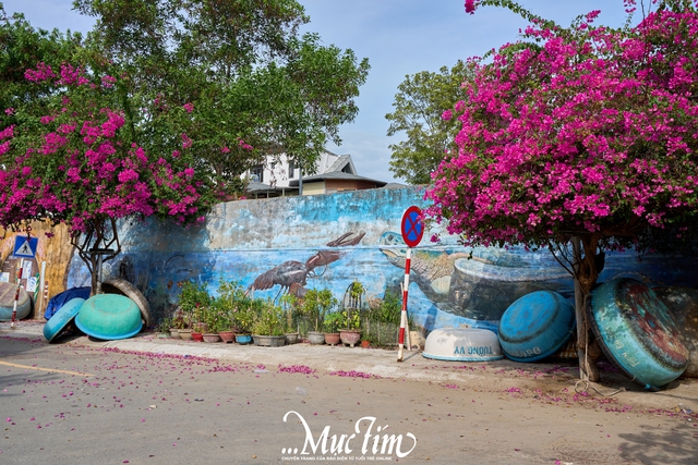 Check-in con đường hoa giấy đẹp như tranh tại Khánh Hòa- Ảnh 7.