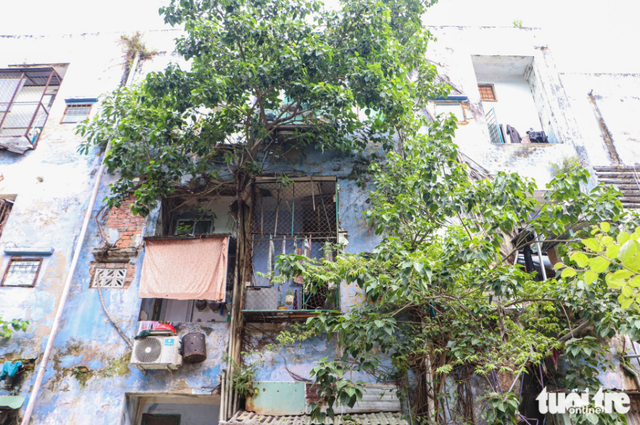 Hundreds of households await relocation from dilapidated apartment complex in Da Nang
- Ảnh 2. Hundreds of households await relocation from dilapidated apartment complex in Da Nang
- Ảnh 2.