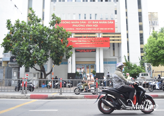 Đến phường Vĩnh Hội nhớ ghé mái đình hơn 200 tuổi- Ảnh 2.
