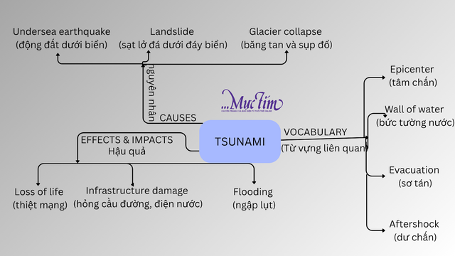 Học tiếng Anh qua sự kiện: mindmap về tsunami (sóng thần) - Ảnh 1.