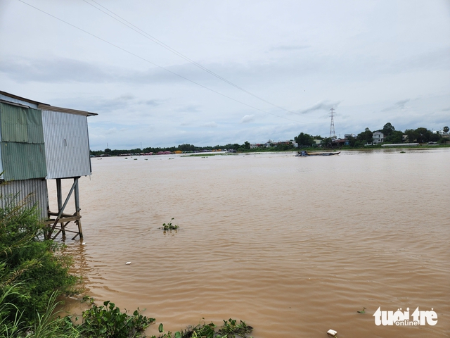 Mekong River flow into Vietnam’s Mekong Delta expected to rise 10–30% in July: forecaster - Ảnh 1. Mekong River flow into Vietnam’s Mekong Delta expected to rise 10–30% in July: forecaster - Ảnh 1.