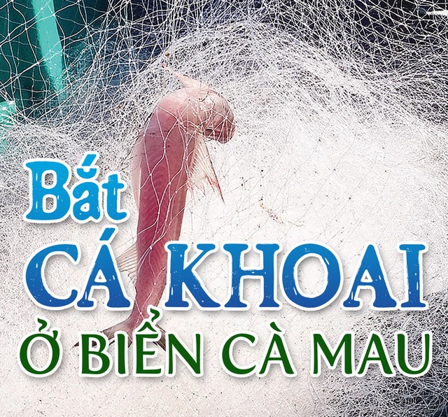 Bắt cá khoai ở biển Cà Mau