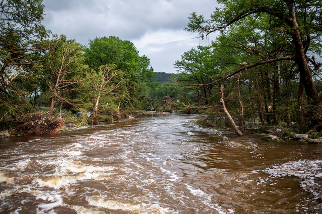 Death toll from Texas floods reaches at least 43; dozens still missing- Ảnh 4.