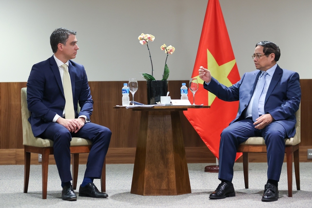 Brazilian firms eye expanded cooperation, investment in Vietnam- Ảnh 2. Brazilian firms eye expanded cooperation, investment in Vietnam- Ảnh 2.