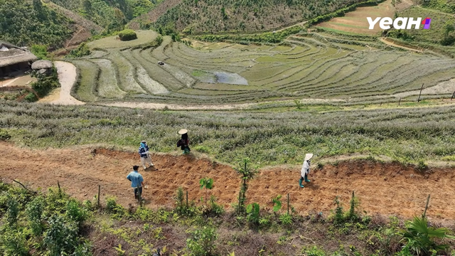 Nhìn lại những hoạt động thú vị của Gia đình Haha tại Bản Liền - Ảnh 14.