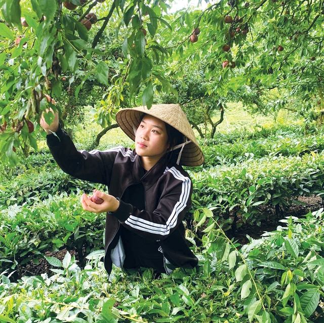 Chuyến xe mùa hè 'rất yêu và rất mê' của gen alpha - Ảnh 1.
