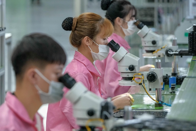Five years on, EVFTA proves a resilient bridge between Vietnam and EU - Ảnh 1.