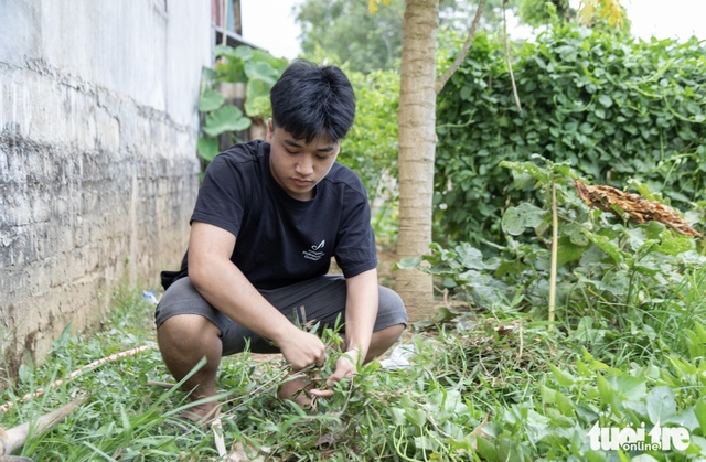 Vietnamese student dreams of becoming doctor to hear father’s voice
- Ảnh 1. Vietnamese student dreams of becoming doctor to hear father’s voice
- Ảnh 1.
