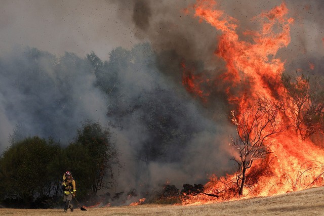 'Cooked alive': Europe's wildfires hit tourism spots and forests- Ảnh 2.