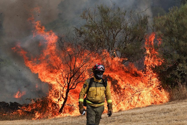 'Cooked alive': Europe's wildfires hit tourism spots and forests- Ảnh 1.