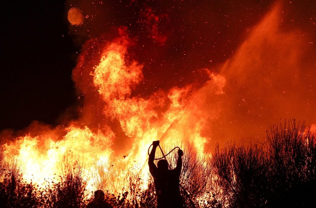 'Cooked alive': Europe's wildfires hit tourism spots and forests- Ảnh 3.